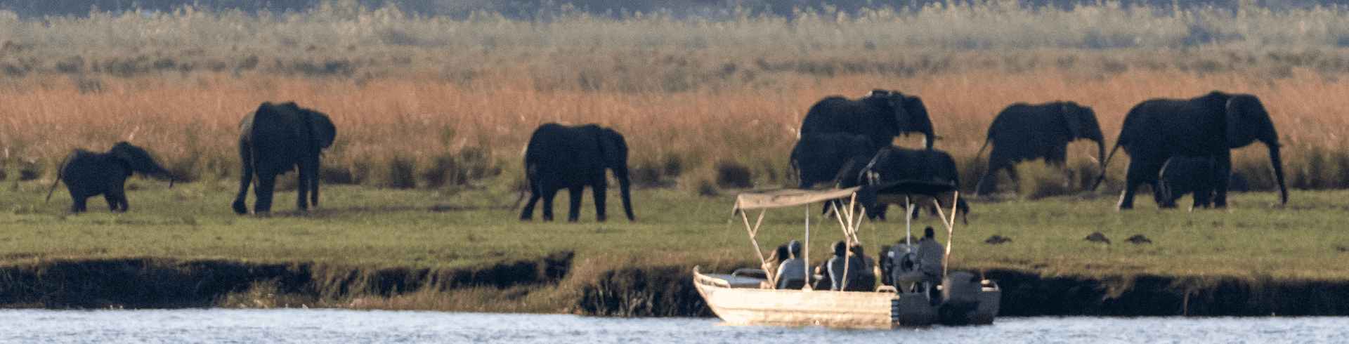 Essncias da frica Austral - Zimbbue & frica do Sul
